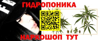 марки lsd Славгород