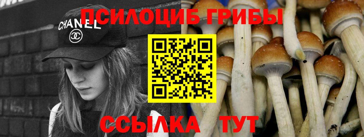 Галлюциногенные грибы Psilocybine cubensis  Вход с VPN  Орск  Псилоцибиновые грибы ЛСД 